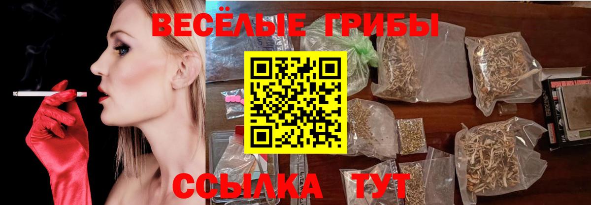 магазин  наркотиков  Псилоцибиновые грибы мицелий  Сочи  Вход с VPN  Галлюциногенные грибы GOLDEN TEACHER 