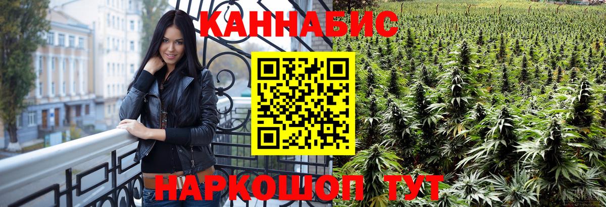 Шишки марихуана сатива Сочи